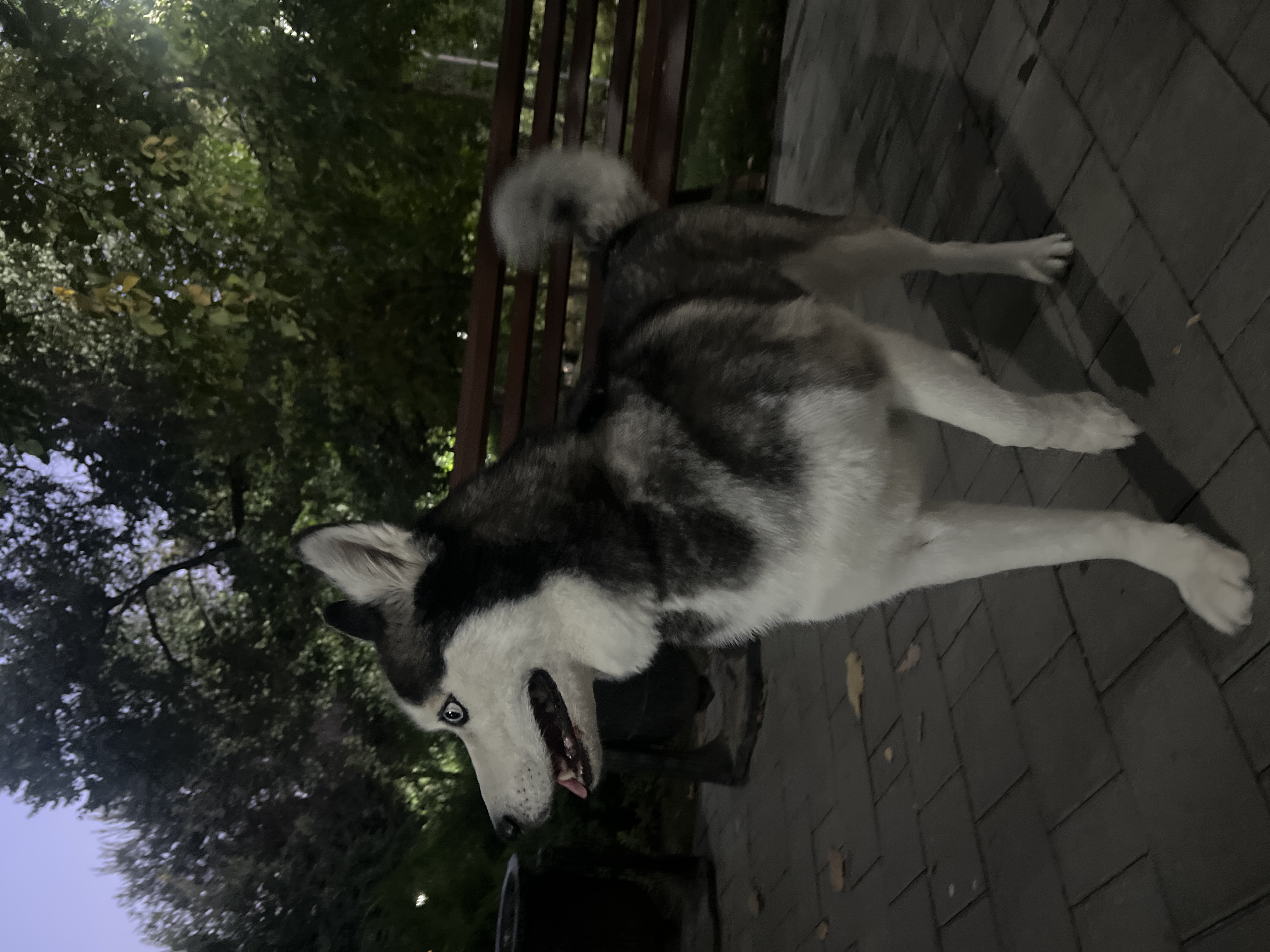 Фото к отзыву